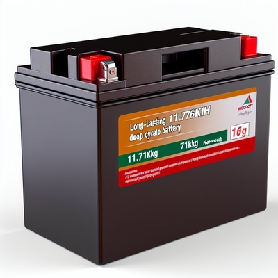 Καλή τιμή 51.2V 230Ah Golf Cart LiFePO4 μπαταρία με έξυπνο BMS 11.8kWh σε απευθείας σύνδεση